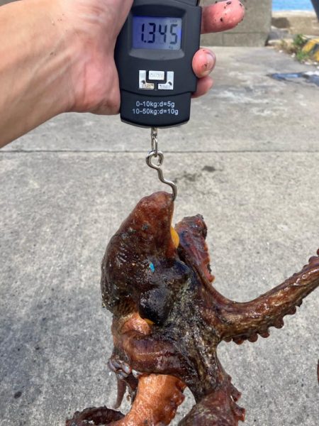 タコ釣り自己ベスト