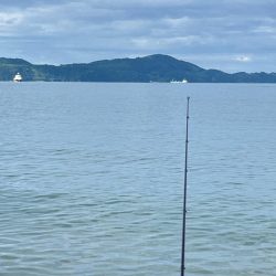 ちょい投げ行ってきました!