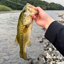 ホームグラウンド