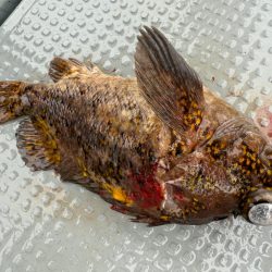 函館沖、タイラバ