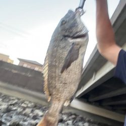 橋脚を狙ってミノーをキャスト！