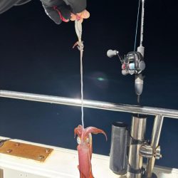 越前イカメタル