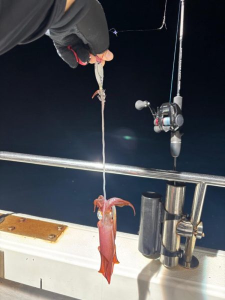 越前イカメタル