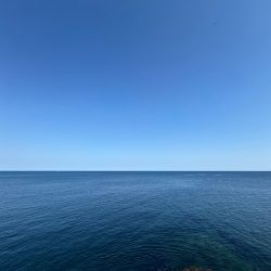 プチ磯デビュー