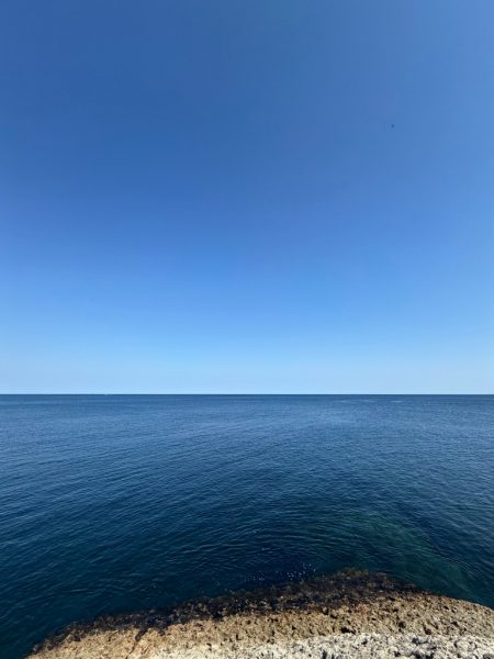 プチ磯デビュー