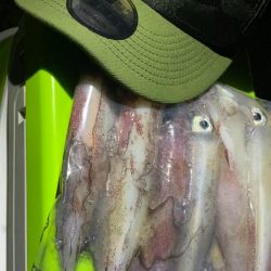 マイカ絶好調！