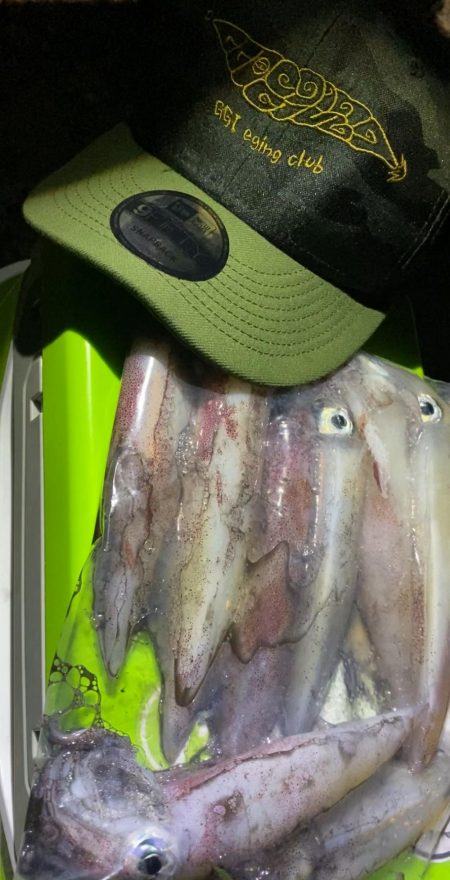 マイカ絶好調！