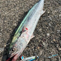 ショアジギング