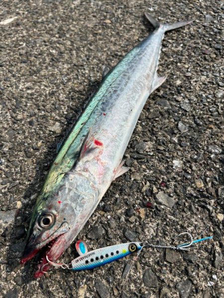 ショアジギング