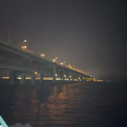 釣れてよかった