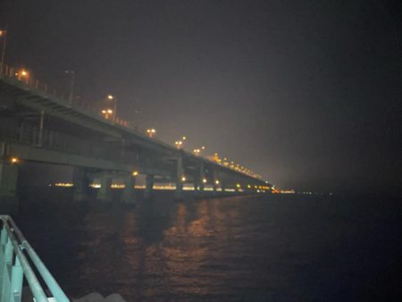 釣れてよかった