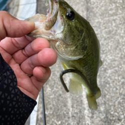 真夏の日中でも