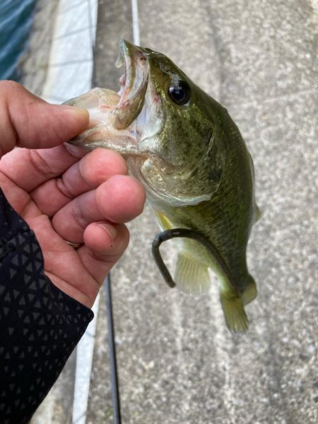 真夏の日中でも