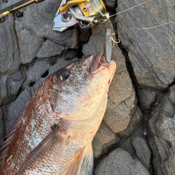 狙い通りと嬉しい外道