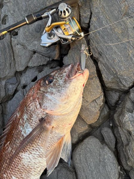 狙い通りと嬉しい外道