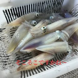 今期初イカメタル！