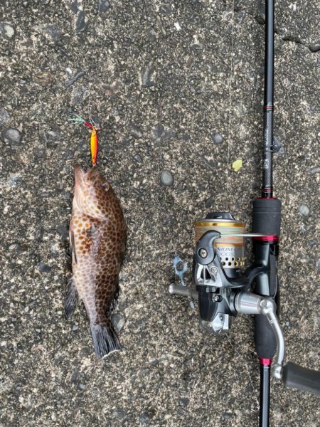 アジング&マイクロジギング