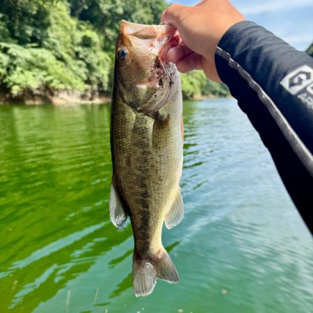 久々のフィールドへ