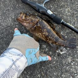 ロックフィッシュ