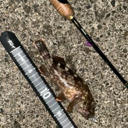 ライトワインド