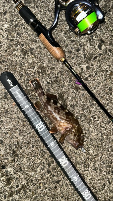 ライトワインド