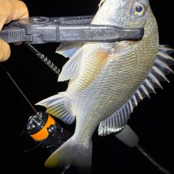 大阪ライトゲーム