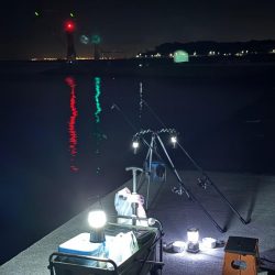 夜釣り