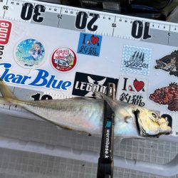 ボートアジング