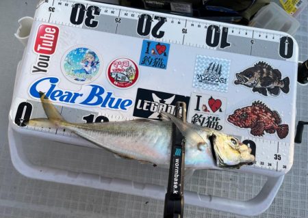 ボートアジング