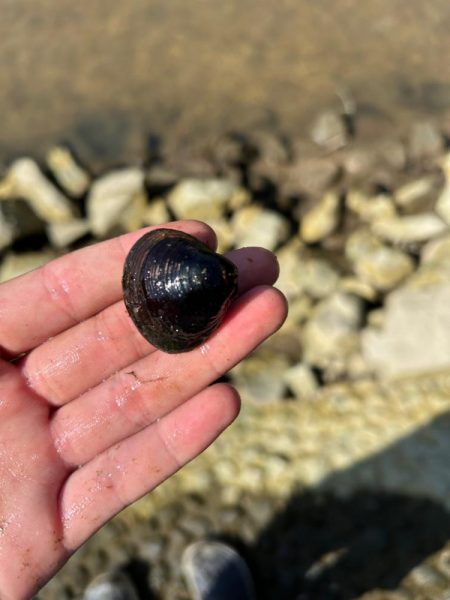 チニング、、、？