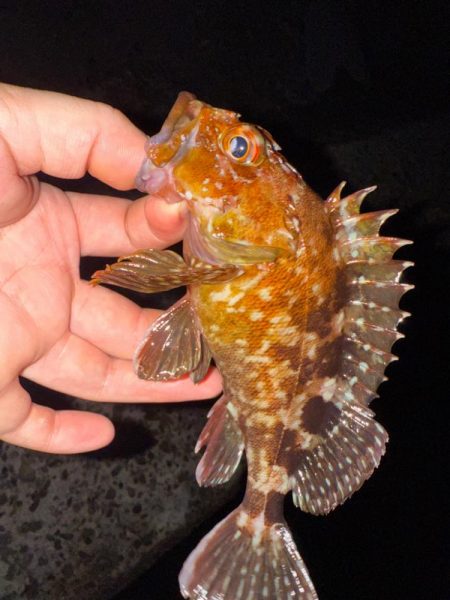 疲れた身体に癒しを求めて…