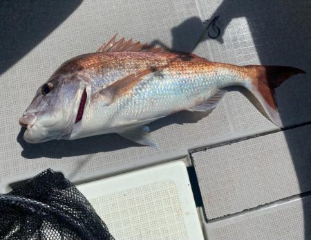 タイラバ　ラクマル