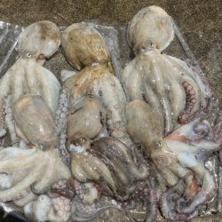 まずまず、上向き❓