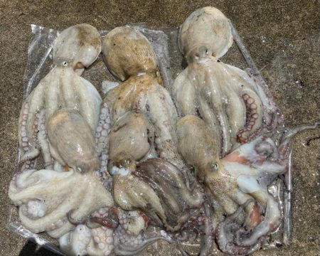 まずまず、上向き❓