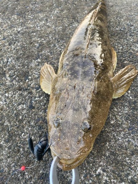 ロックフィッシュゲーム