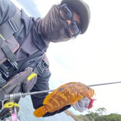 ロックフィッシュデイ