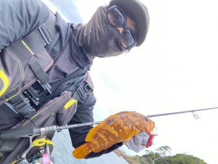 ロックフィッシュデイ