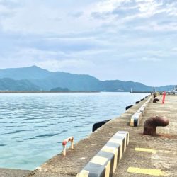 小浜新港ガラガラということは…