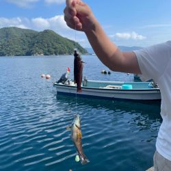 暑い。貴重な一枚