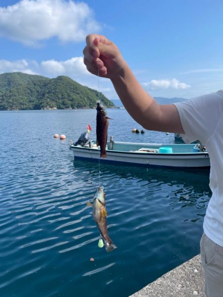 暑い。貴重な一枚