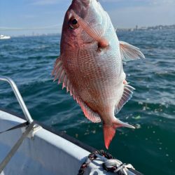 タイラバと忍耐力