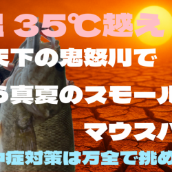 気温35℃！真夏に狙ってきたスモールマウスバス！