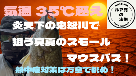 気温35℃！真夏に狙ってきたスモールマウスバス！