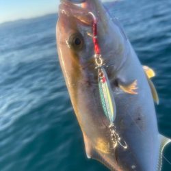 サップフィッシングSLJ