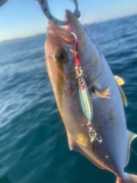 サップフィッシングSLJ