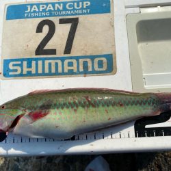 シロギスタの10種達成トリプルG