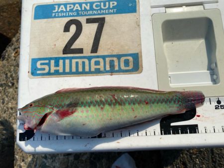 シロギスタの10種達成トリプルG