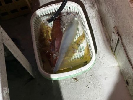 【鳥取イカメタル】今回も潮激流と激渋