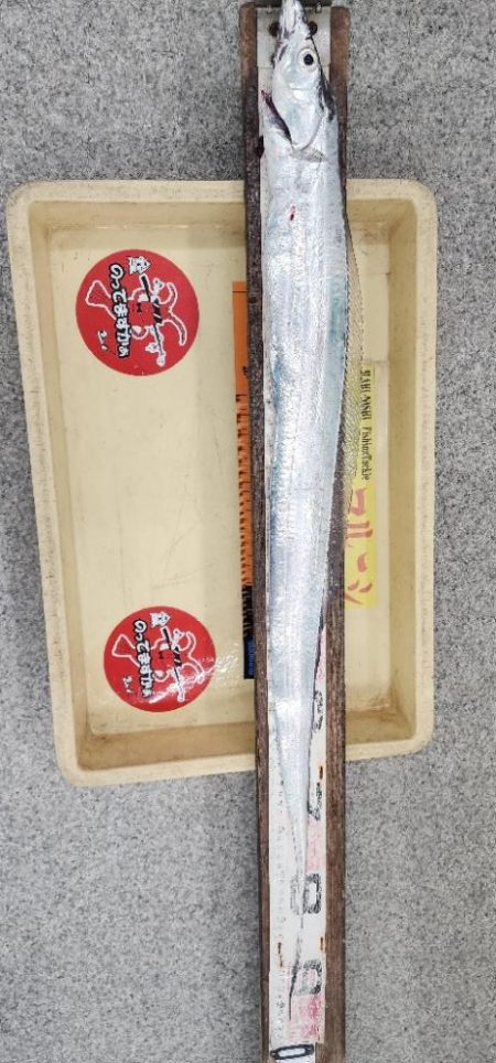 つれればおっきい