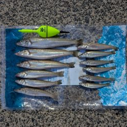 キスを求めて、日本海へ！